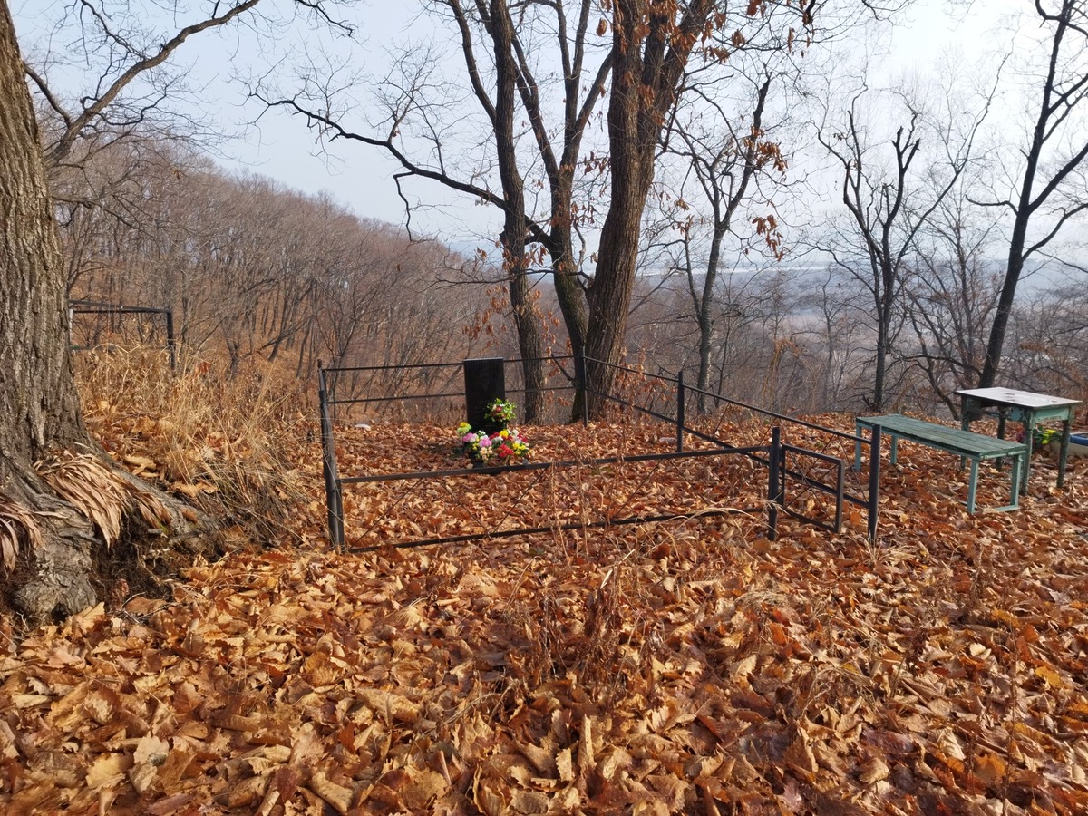 cee0013f-e05f-4996-9199-4af09596d5d9 Дубов Владимир Николаевич