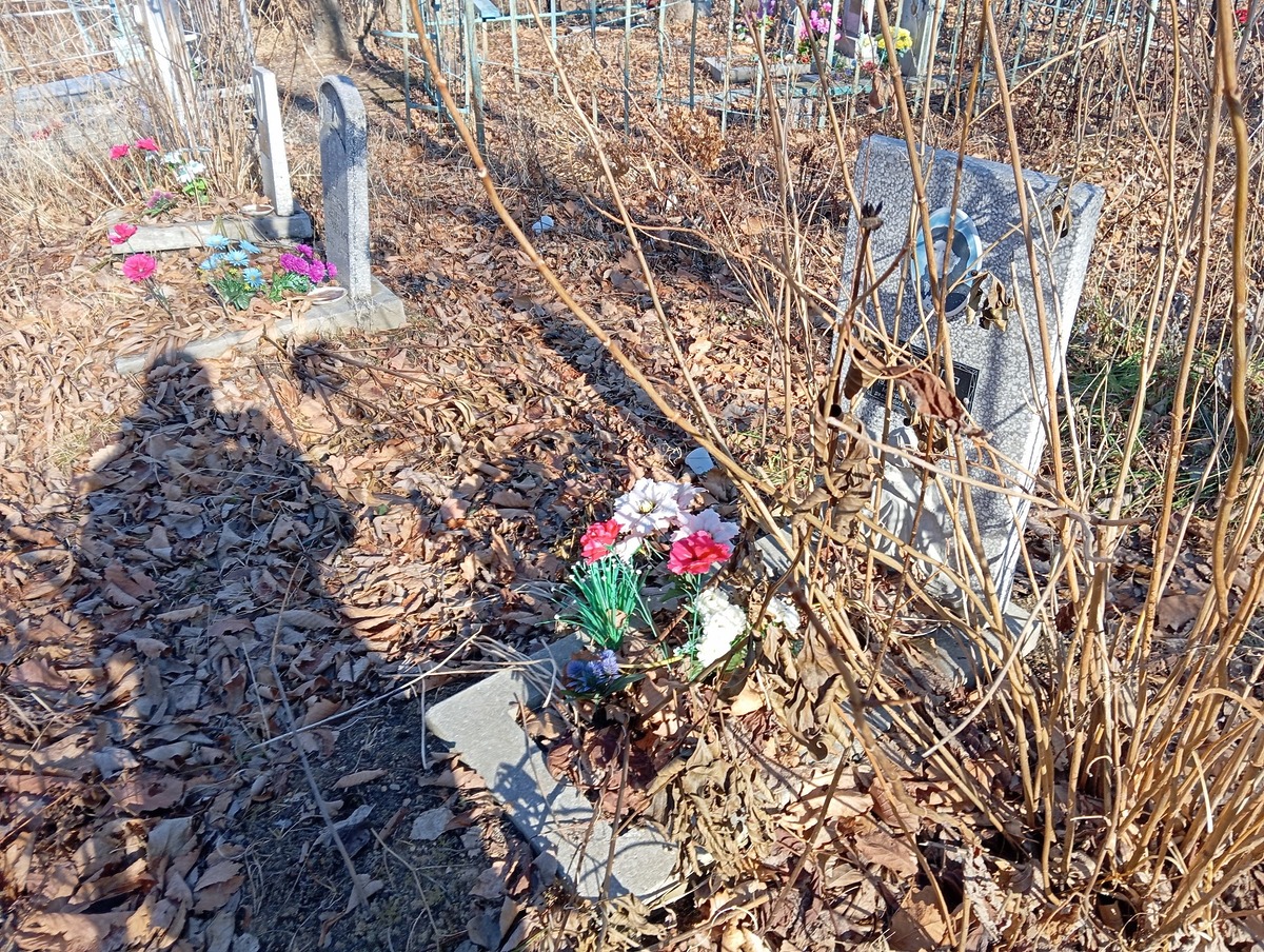 Мендель Елена Михайловна