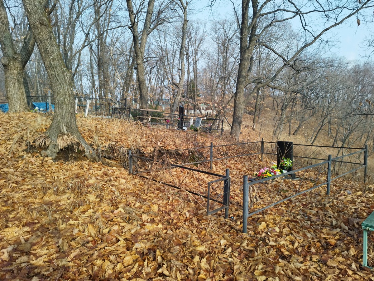 d0d3573b-aebb-413c-ad7a-bee3b116b015 Дубов Владимир Николаевич