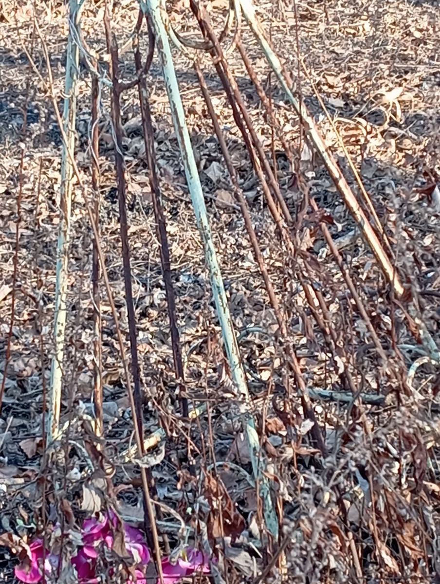 Неизвестно Неизвестно Неизвестно