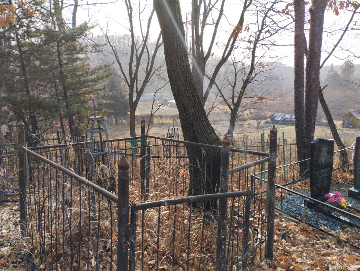 d3301cf8-6fd4-4134-b12a-9aacaf9258c1 Локтионова Прасковья Дмитриевна