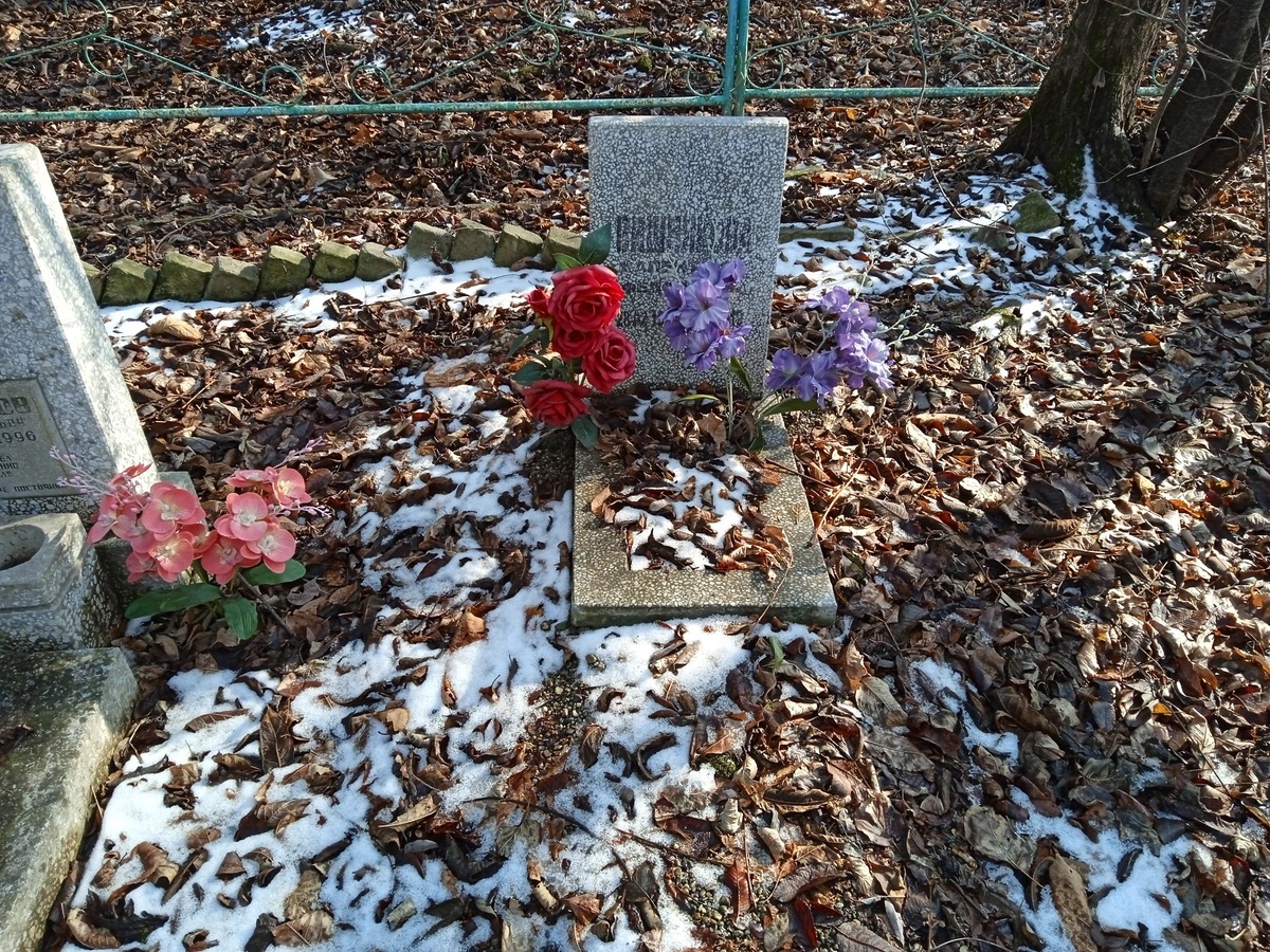 d3a12a7b-670d-462c-80bb-ba79b97d6fc7 Вишнякова Валентина Федоровна