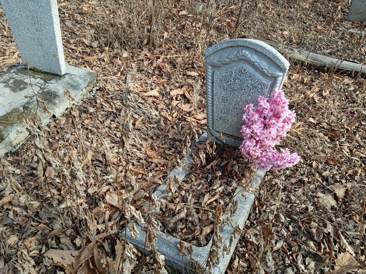 Недодел Виталий Сергеевич