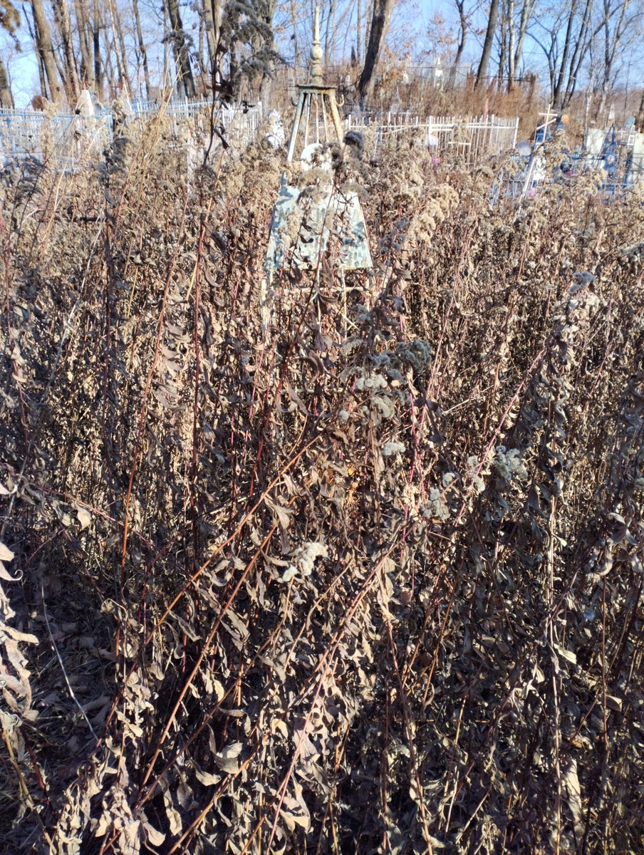 Мизгирева Вера Ивановна