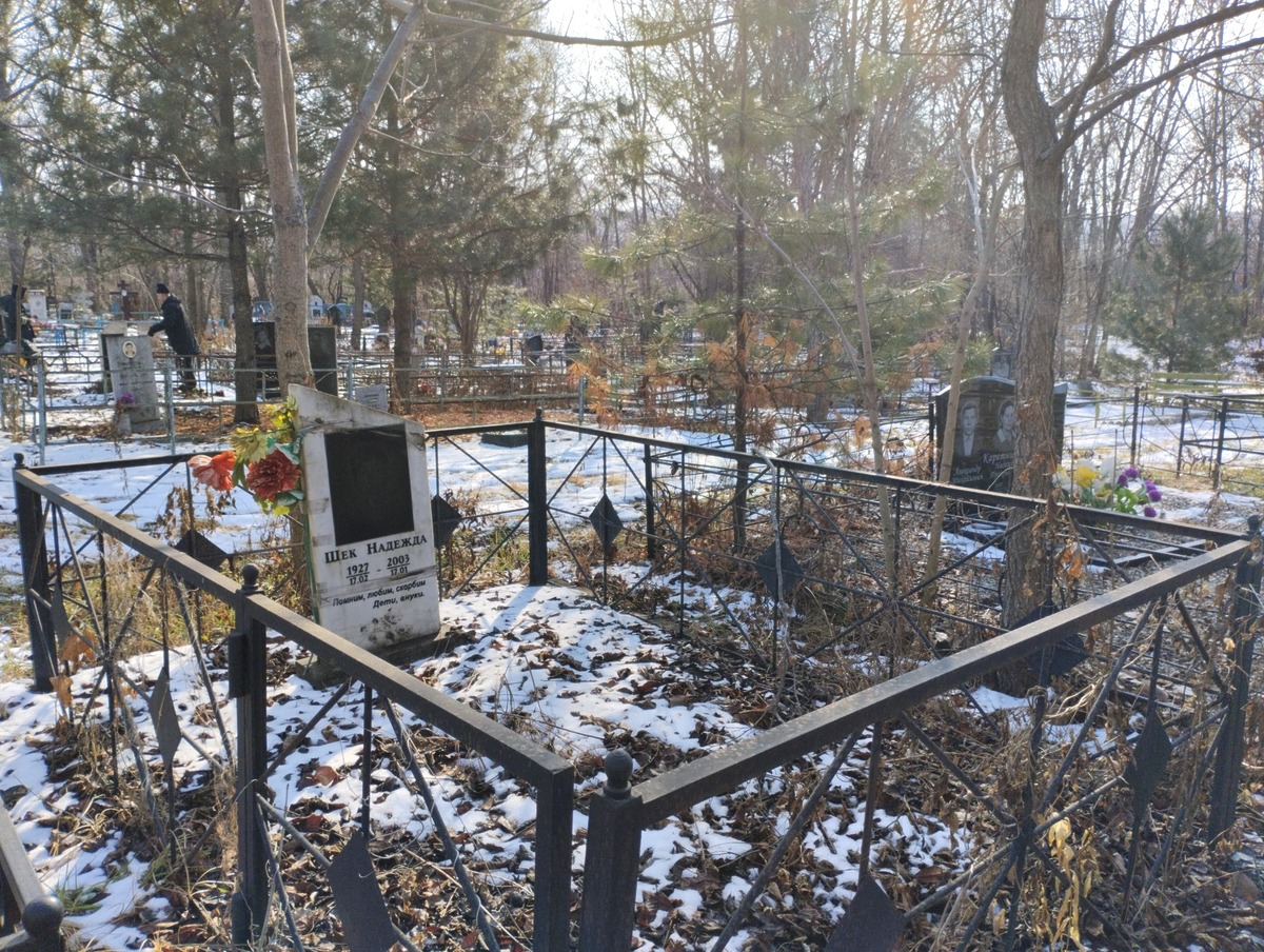 Шек Надежда Неизвестно