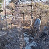 Семенец Михаил Васильевич
