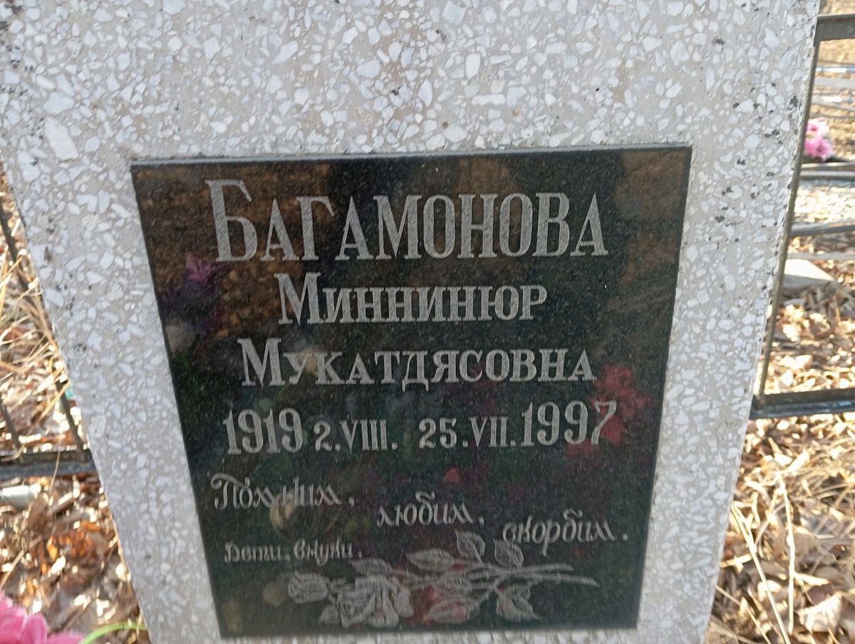 dc51183f-4c0f-4f93-8b47-03247b77d234 Багамонова Миннинюр Мукатдясовна