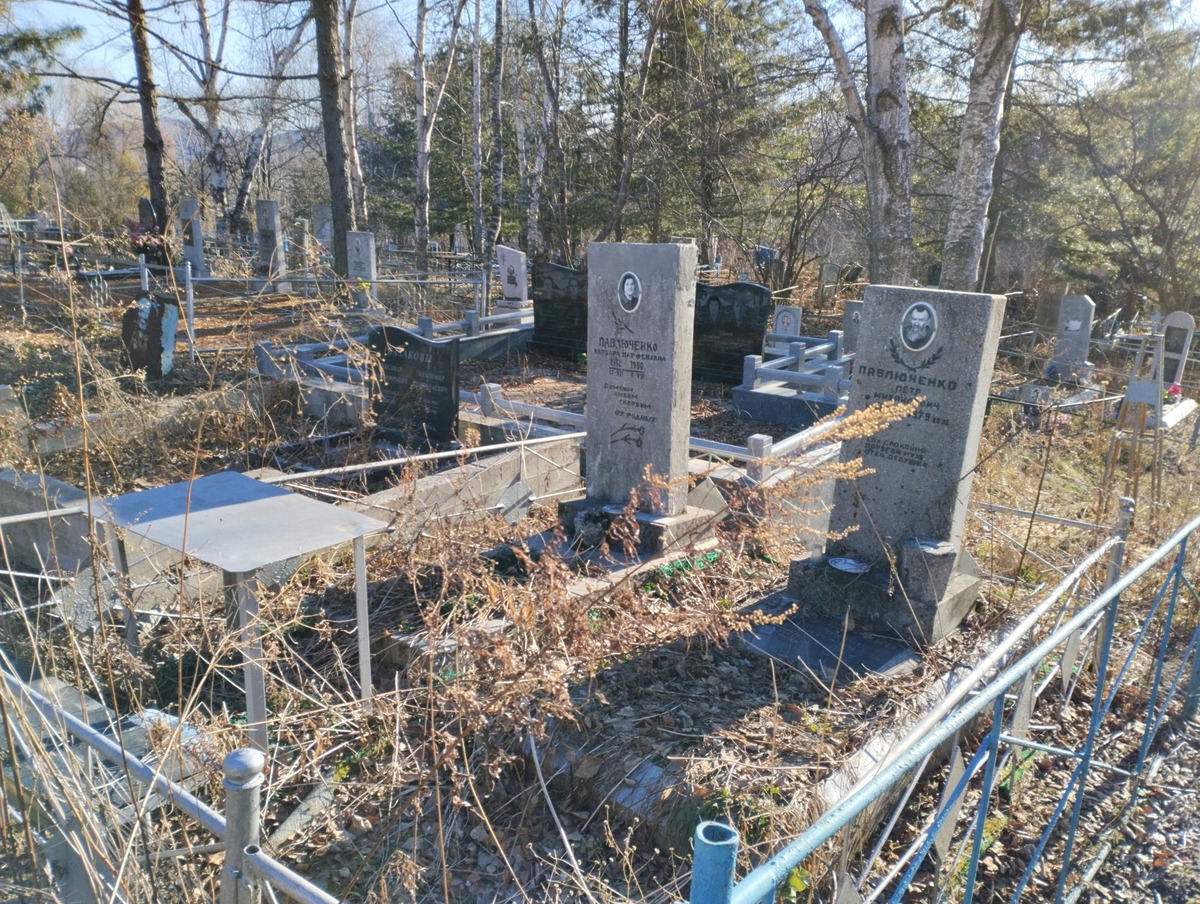 dcf55ba0-df92-4831-8af7-428f5de40191 Павлюченко Владимир Петрович