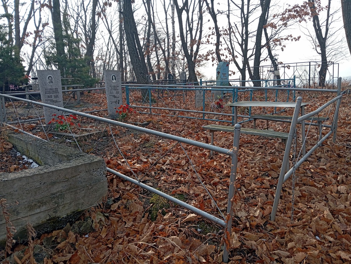 Толкачева Тамара Петровна