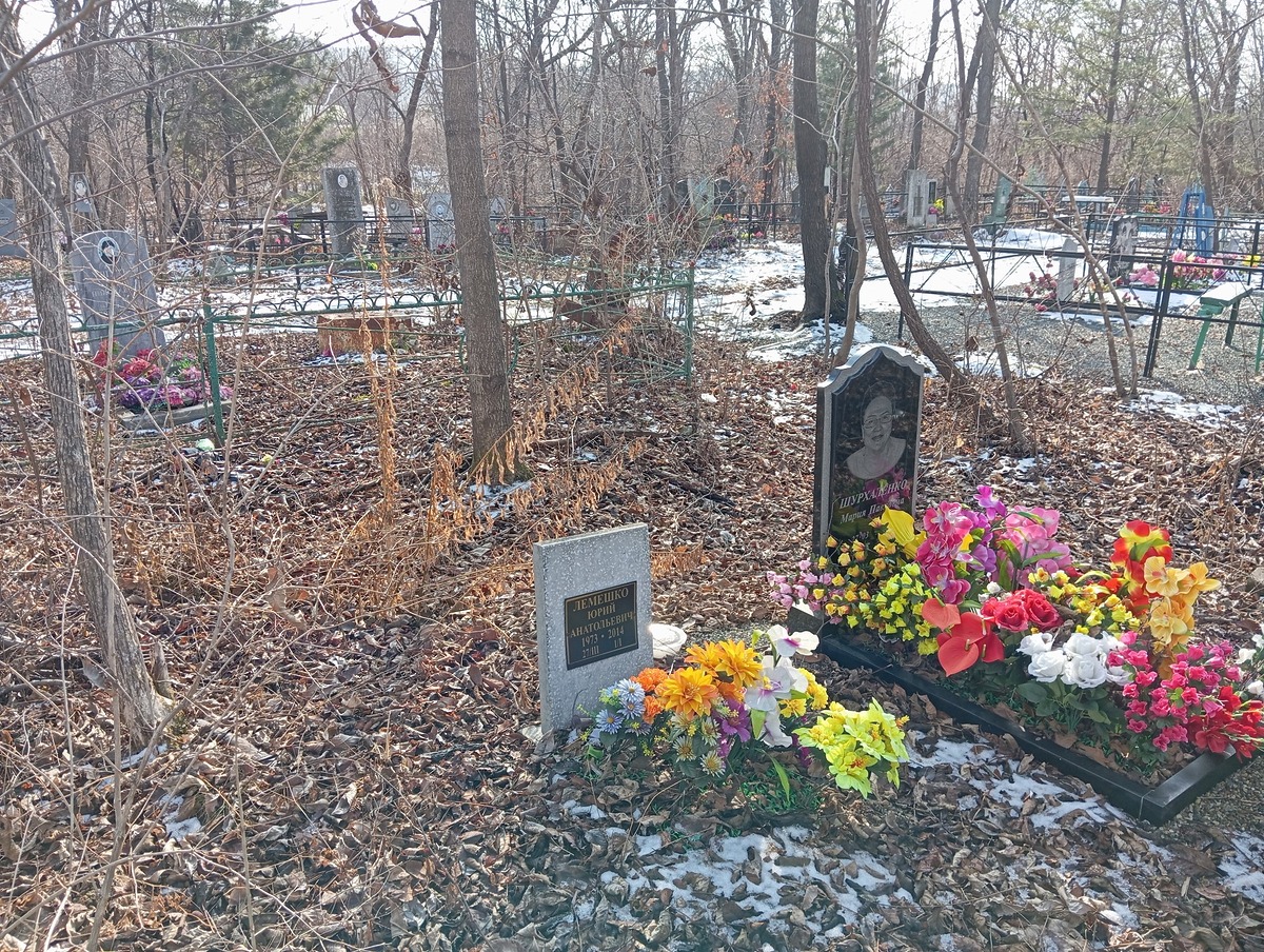 Лемешко Юрий Анатольевич