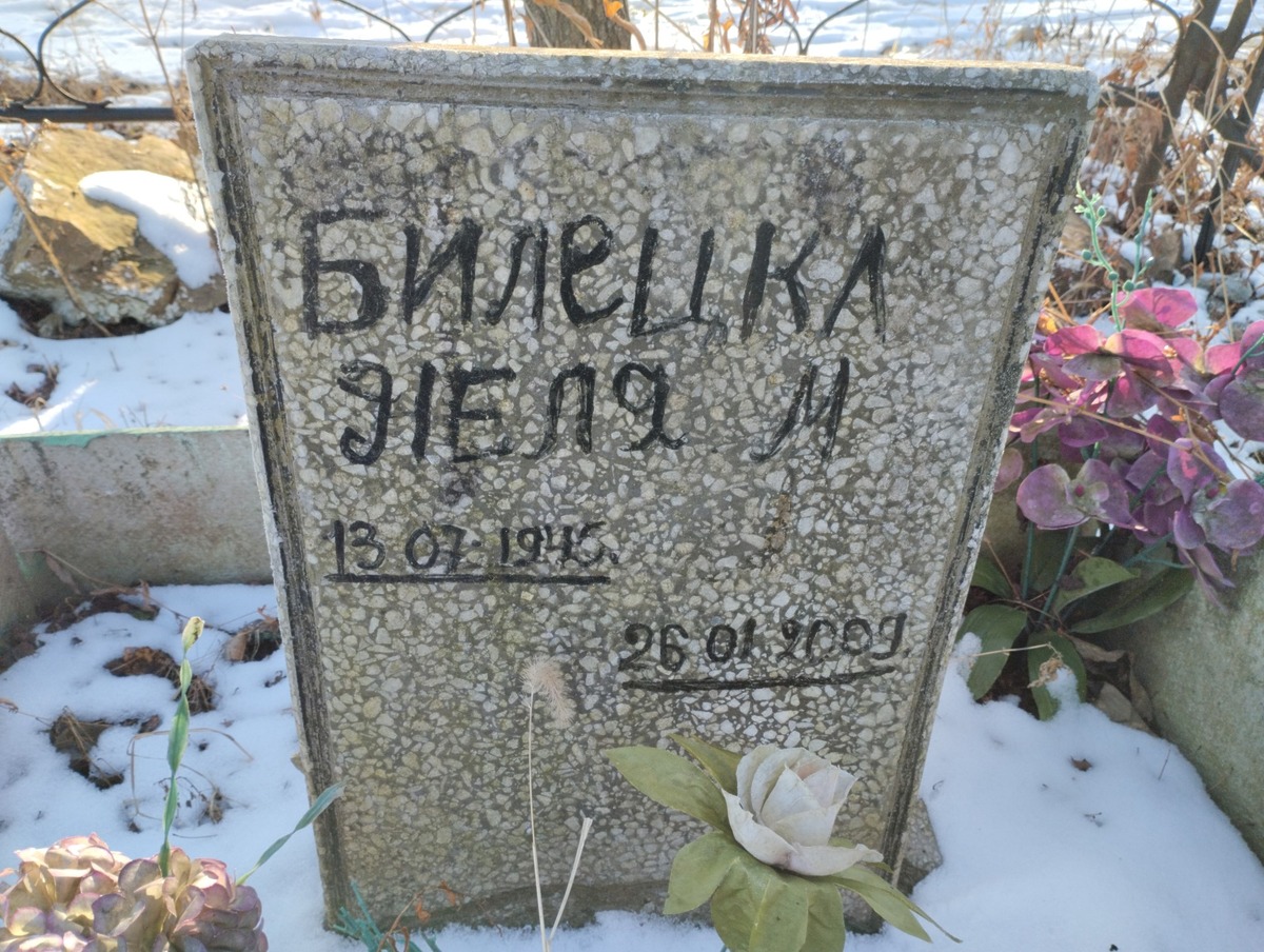 Билецка Неля М