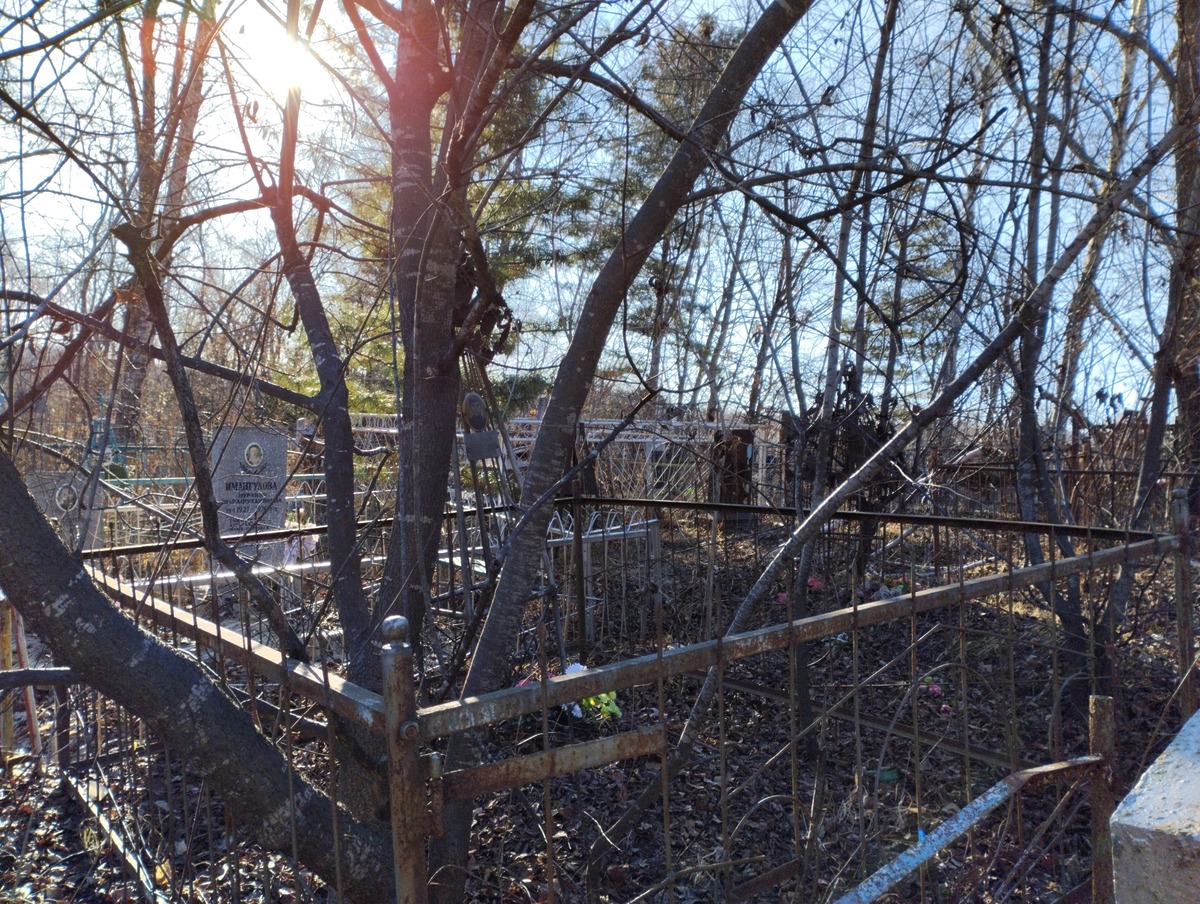 e0ba09f7-f2ae-4c38-af0d-d67d44f3d75f Тайлашев Валерий Витальевич