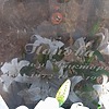 Попова Наталья Викторовна