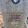 Горовой Александр Александрович