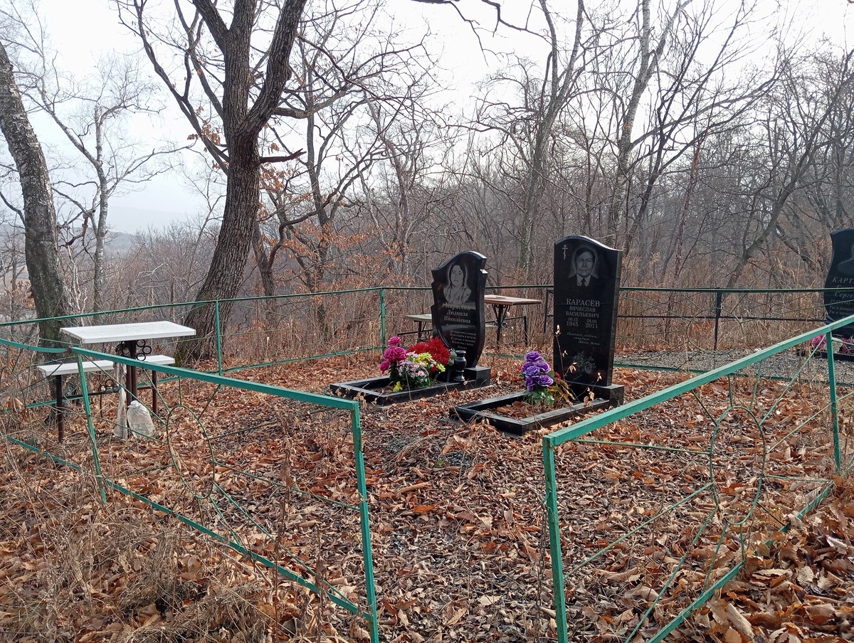 e5e4f195-3fb6-4c65-b727-73d1ce920c7e Карасев Вячеслав Васильевич