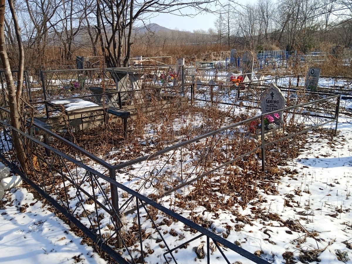 Вдовенко Анна Васильевна