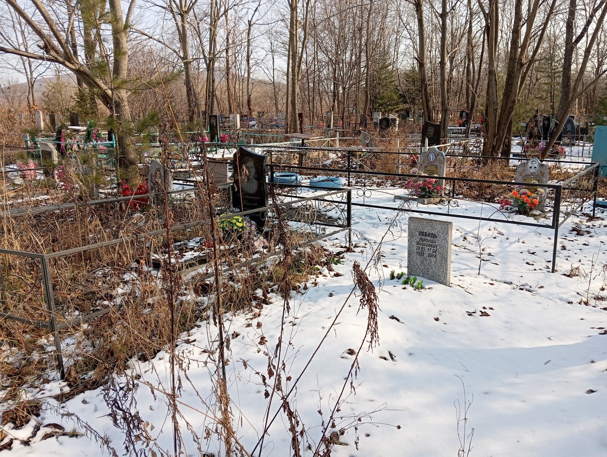 Лебидь Николай Моисеевич