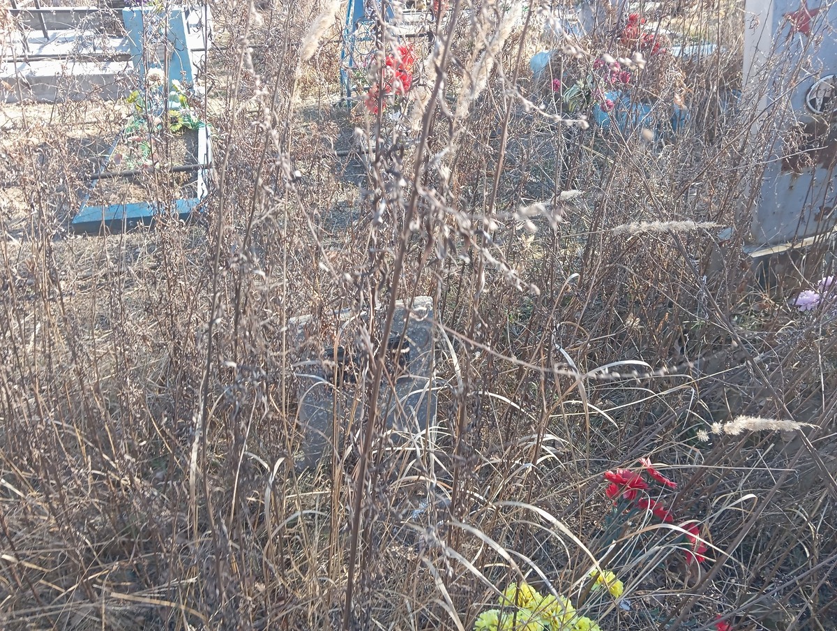 e85315c6-0914-4edf-a7ef-5b432b4f859a Маковей Леонтий Иванович