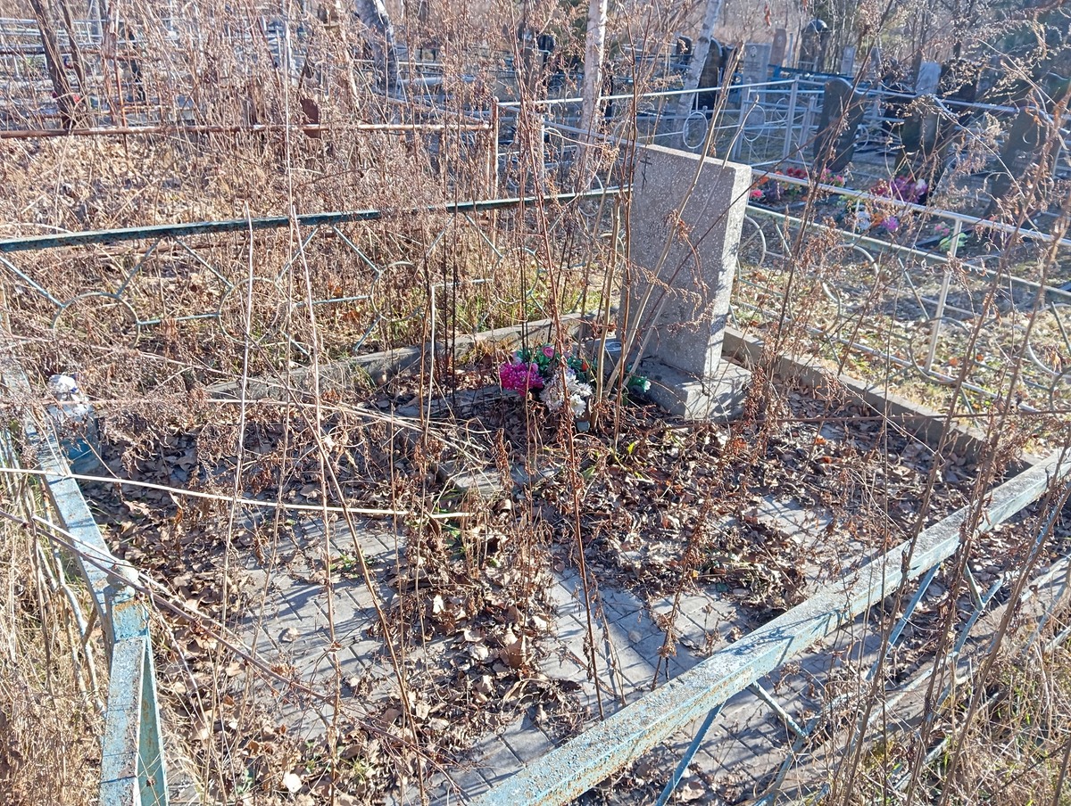 e85a83bb-8e28-4e5c-8061-01c1294a3dfb Маслякова Анна Гариловна