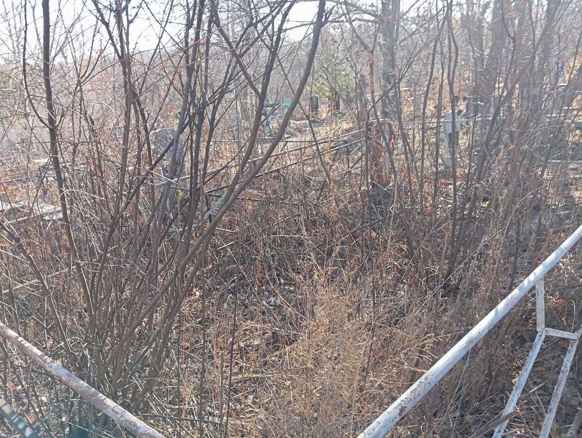 e87ca7f4-09dc-4a7f-a138-080aae6e62f6 Лесин Иван Иванович