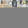 Вазиев Давид Борисович