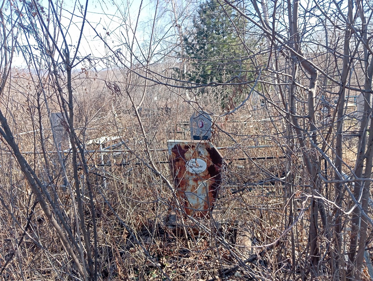 eae61463-994b-4903-a029-3c7bf1f7407a Лесин Иван Иванович