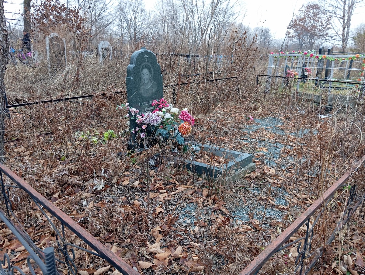 Наделяева Нина Евгеньевна