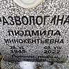 Развологина Людмила Иннокентьевна