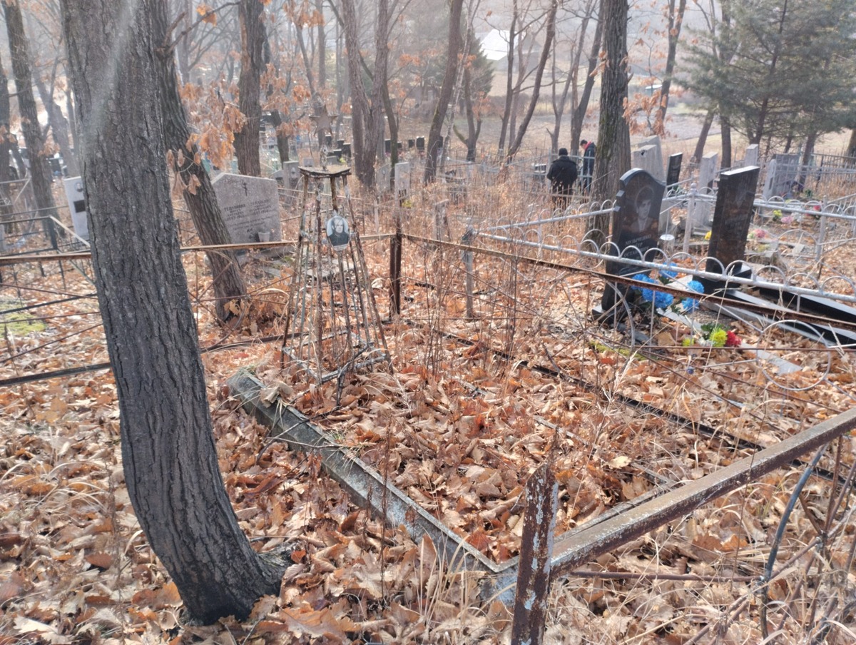 Шамин Виктор Николаевич