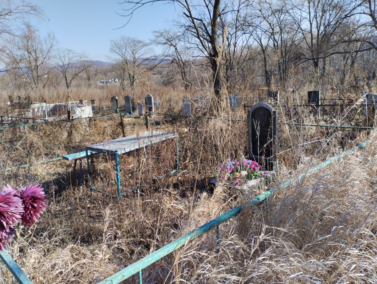 Цыгнадзе Михаил Николаевич