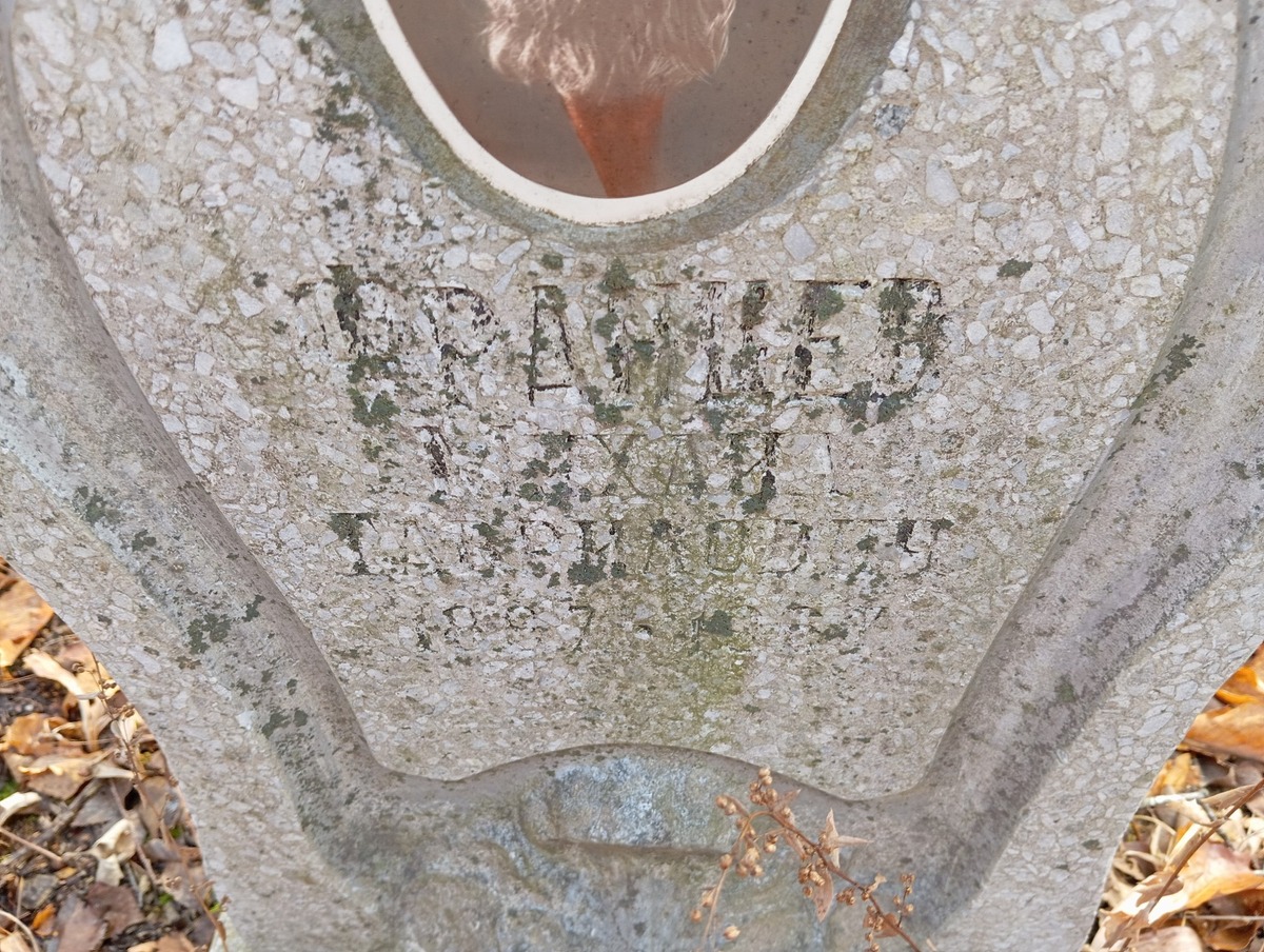 Францев Михаил Гаврилович