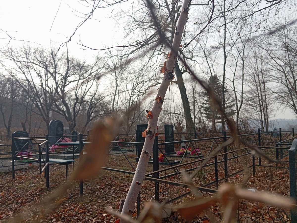 Лукьянов Федор Федорович