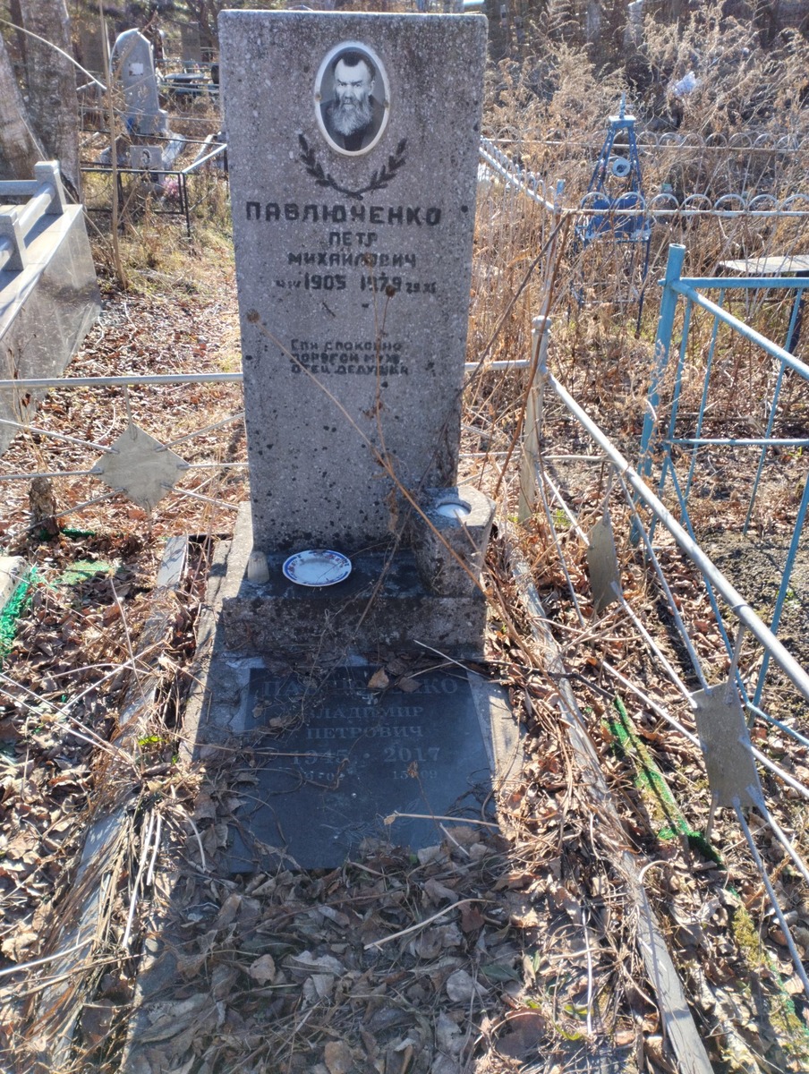 f1b243c8-edf3-458e-b139-30e698bf296c Павлюченко Владимир Петрович