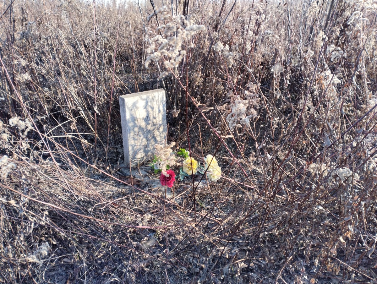 f2a00943-43c6-4e35-ac5f-bbc06dfecbf4 Малоиван Максим Викторович