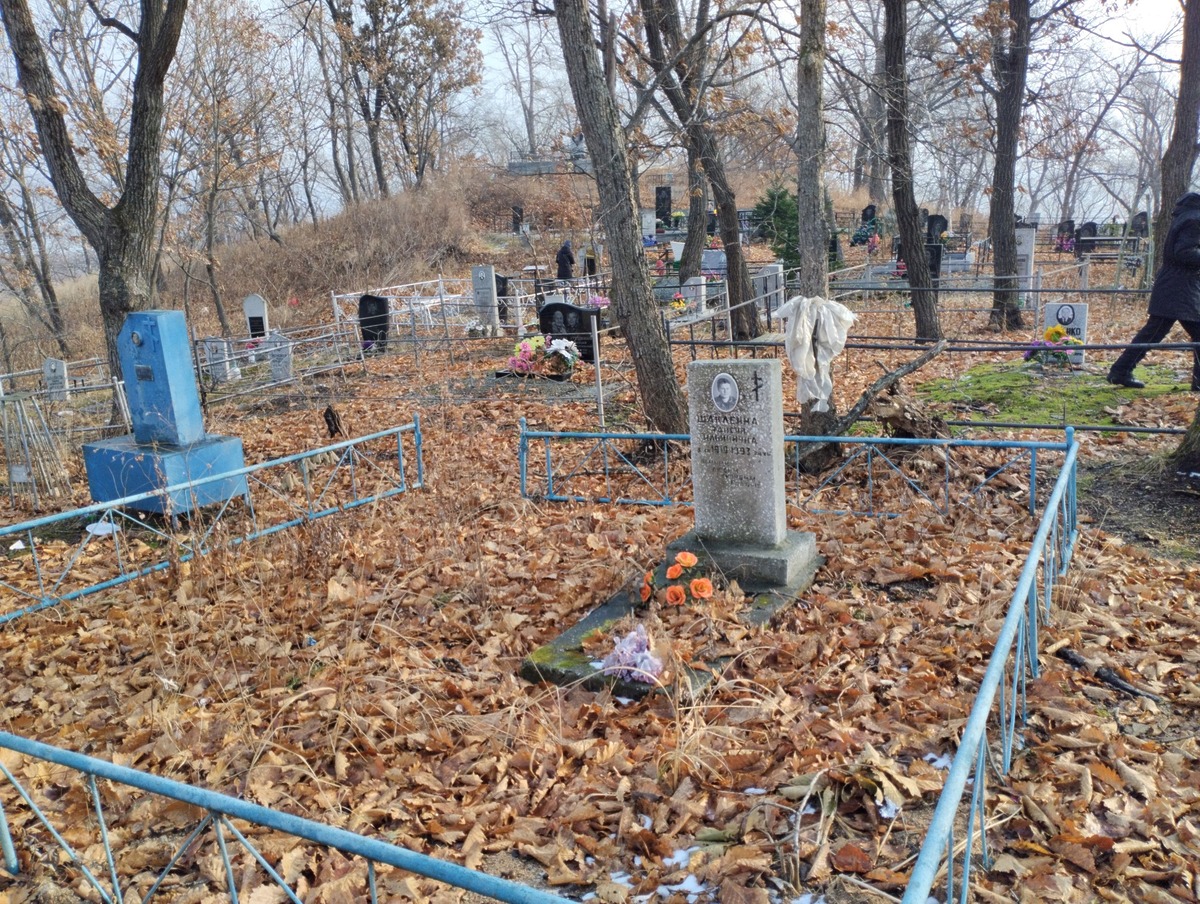 Шаклеина Таисия Ильинична