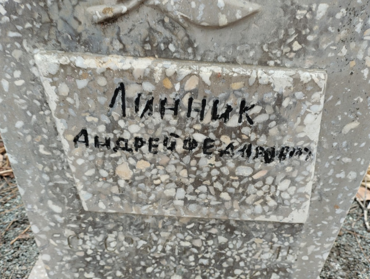 f6be3cdd-1219-46c5-add0-8aa22459a11c Линник Андрей Федорович