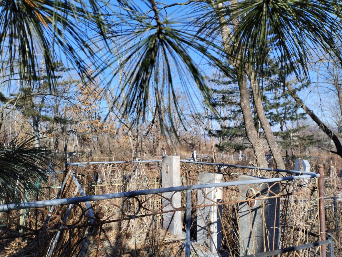 f75072f3-f5d7-46bd-b6fd-b3aa729e1141 Матвеев Леонид Ильич