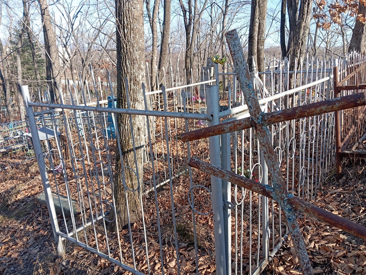 f77ace85-e2ef-4338-9e9c-5e319e419837 Гвоздков А П