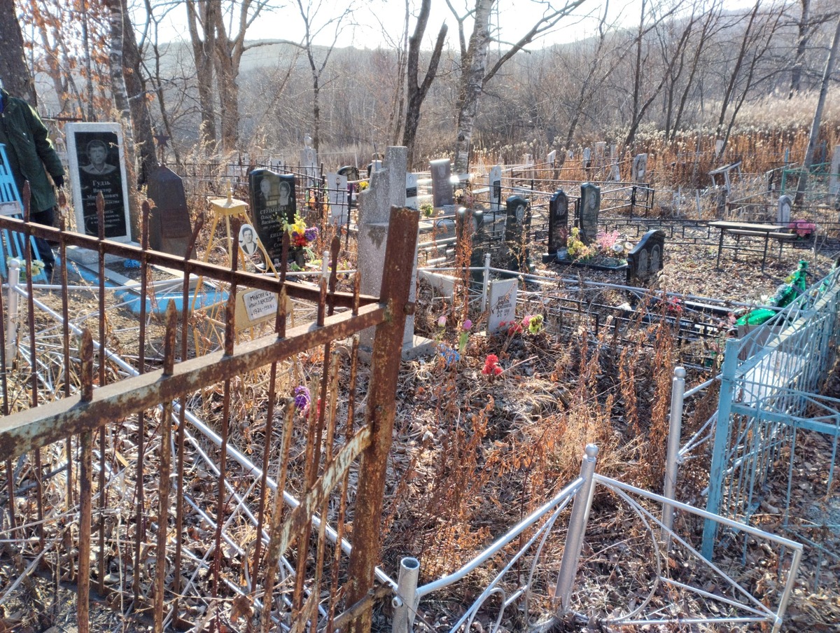 f954f2c4-fea3-4a6a-858a-a6f6c11979d4 Маковец Полина Семеновна