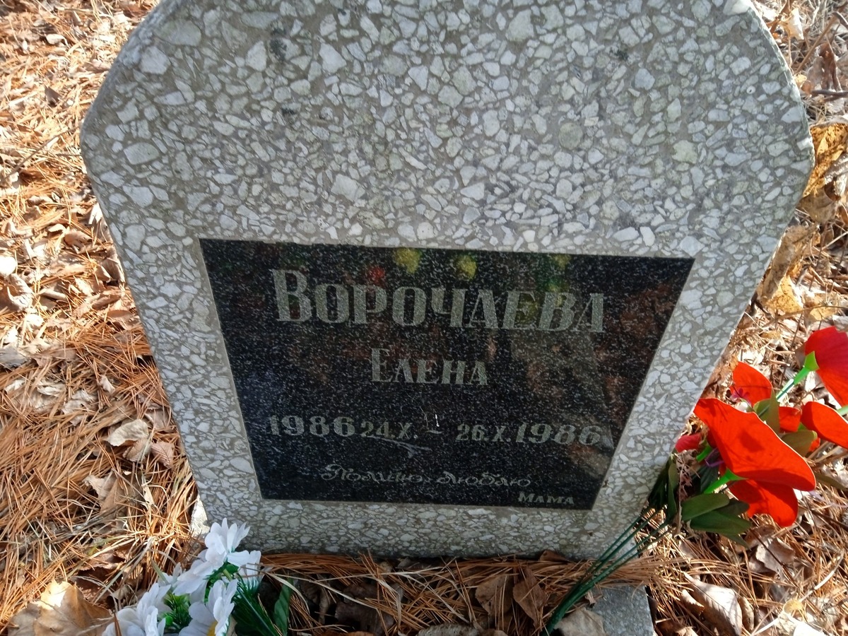 Ворочаева Елена Неизвестно