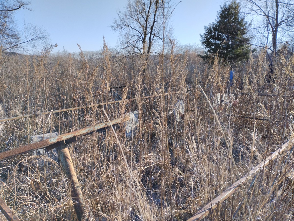 Меданникова Наталья Владимировна