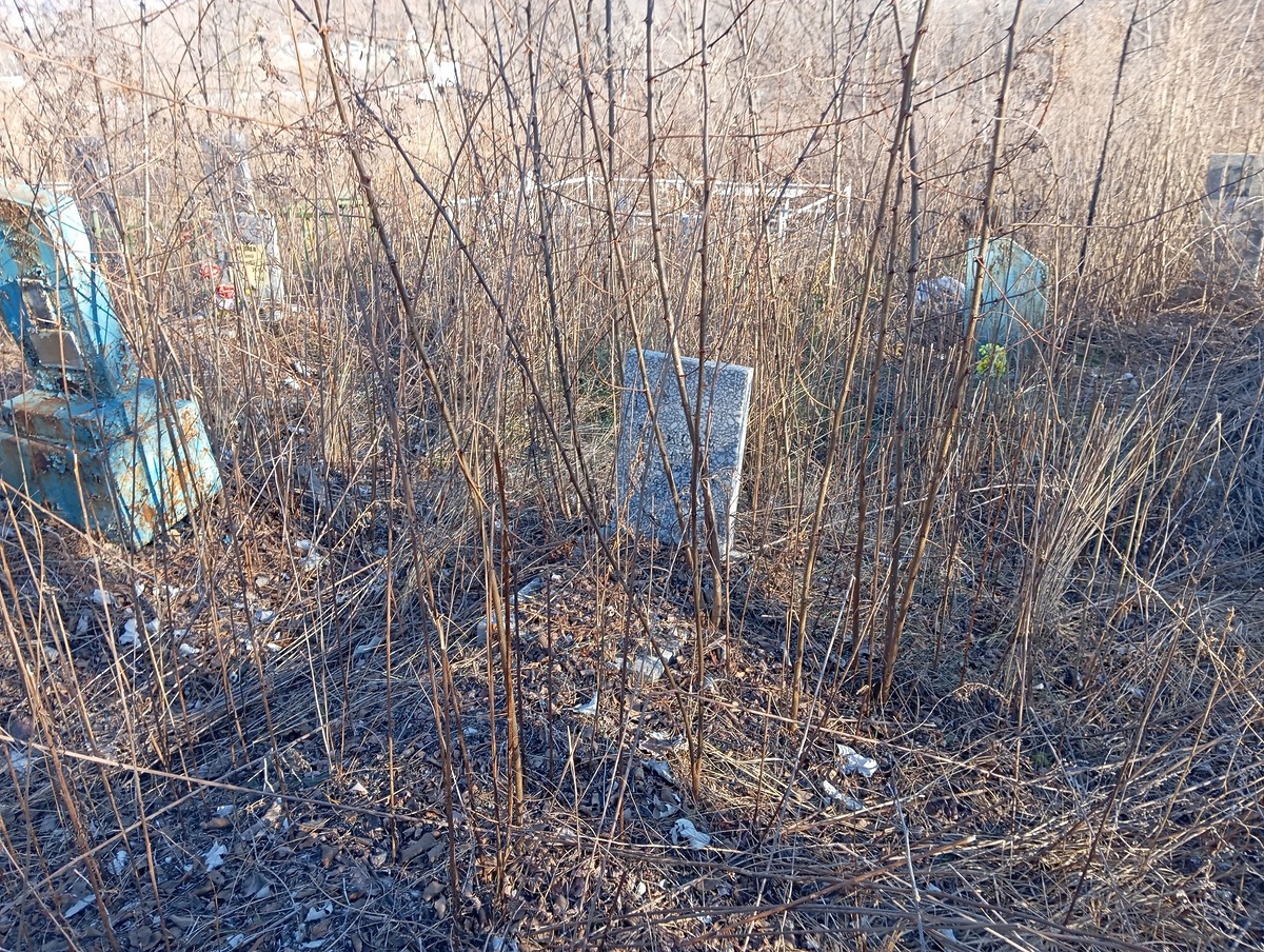 fca92d02-2599-4b1b-8623-33b0504f1773 Максак Надежда Ивановна