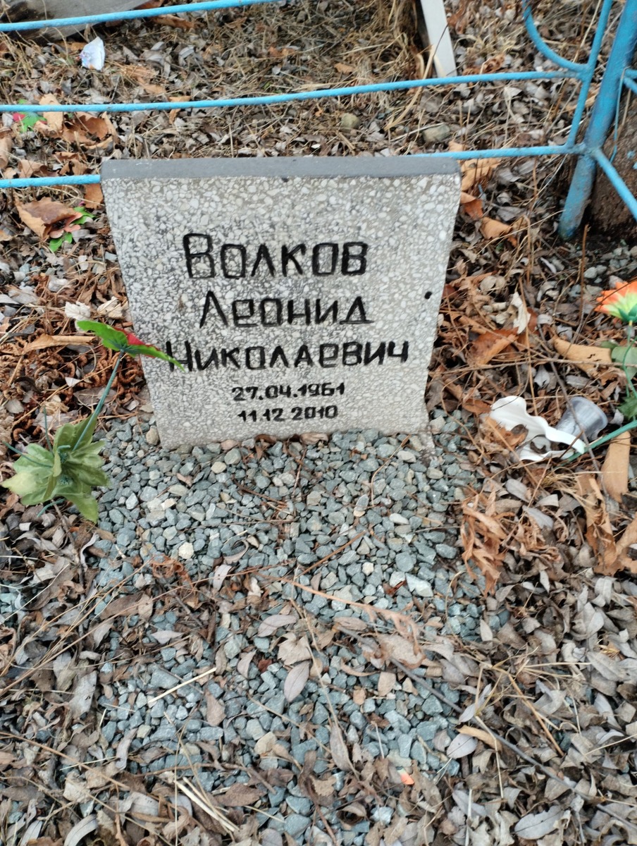 fd3e49d0-8220-4a1b-b4f7-76dfddd5dc95 Волков Леонид Николаевич