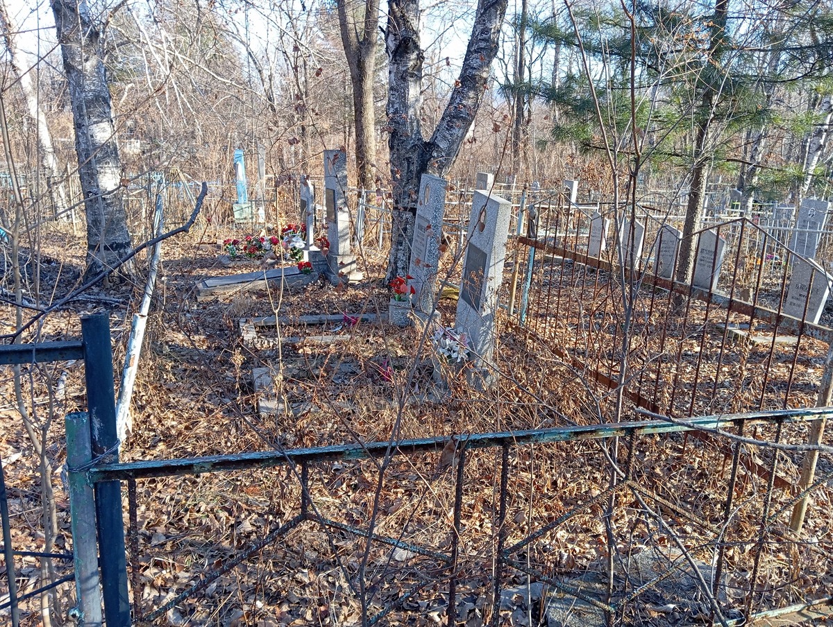 fec7538b-70ca-4716-83cd-2c9802068479 Макеев Александр Николаевич