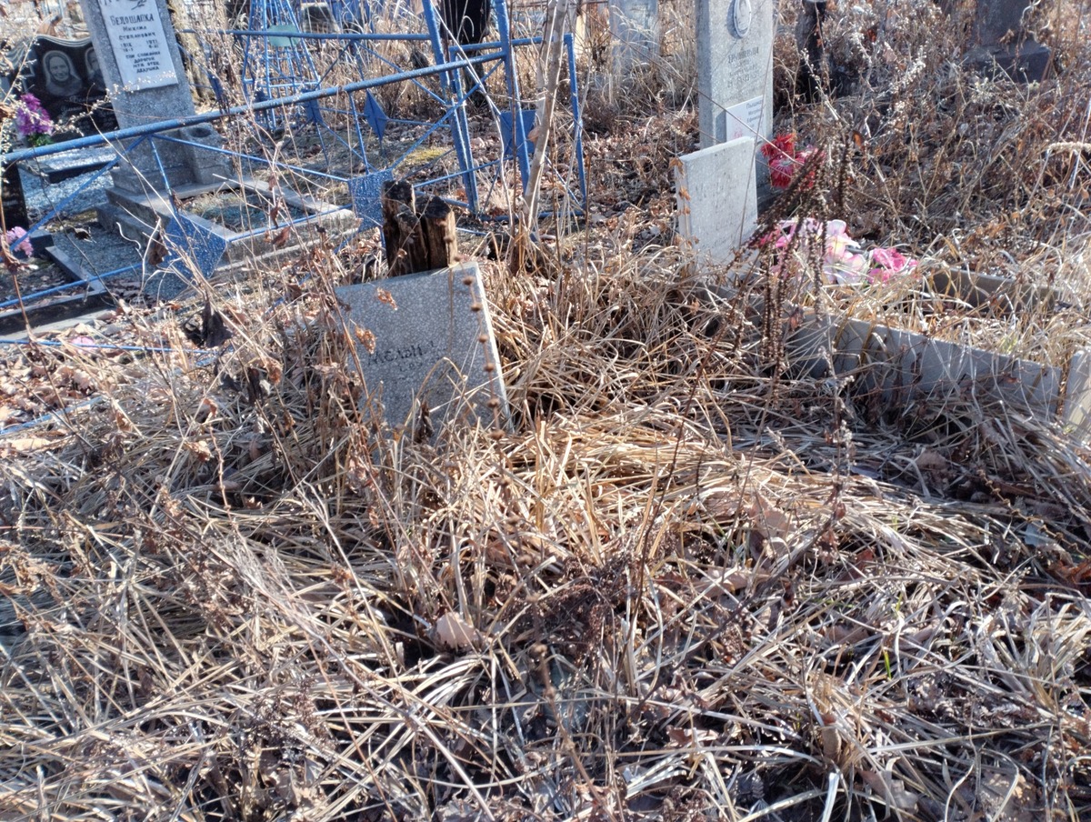 fffd0335-b921-4539-a259-5d52f3f5382a Мельников Сергей Григорьевич