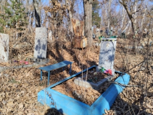 0011c03b-f4f6-46c7-8b41-7f2f17c6f6c2 Шеготаров Семен Сергеевич