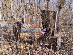 Неизвестно Неизвестно Неизвестно