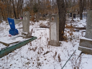 Минюхина Полина Дмитриевна