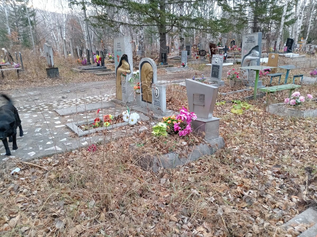 Барбашова Надежда Владимировна