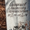 Сафронов Анатолий Афанасьевич